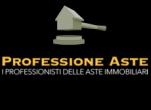 Professione Aste